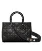 Christian Dior Medium Lady D-Sire My ABCDior Bag Black