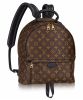 Louis vuitton Palm Springs Backpack MM M41560 Black