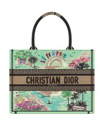 Christian Dior Souvenir Medium Dior Book Tote Green