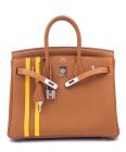 Hermes Birkin 25 Officier Togo Handbag Coffee